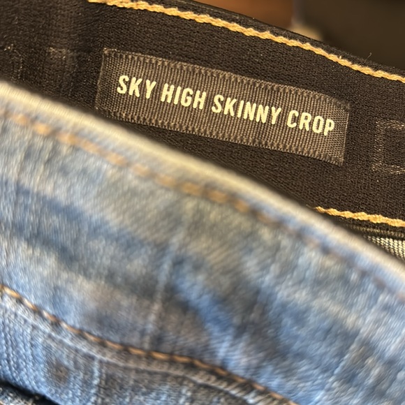 Torrid sky high skinny crop button fly pants size 10 - Picture 4 of 5